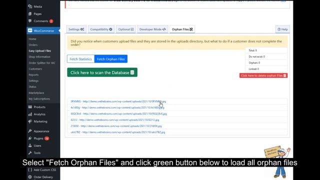 Orphan Files | Unfinished Orders | WordPress Plugin Easy Upload Files During Checkout смотреть онлайн