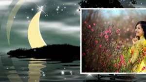 Аузынан айдың түскен қыз. Тоқтар Серіков. Песня о красивой девушке. Токтар Сериков