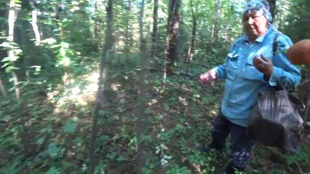 Летние грибочки в зимнюю метель. смотреть онлайн