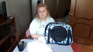 Билет на самолет для собаки. Переноска для животных. Правила перевозки животных и стоимость билета.