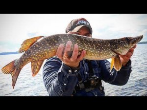 ВОДЛОЗЕРО.Рыбалка в КАРЕЛИИ.Водлозерский Национальный Парк. 2 серия. Готовим на природе. Лодка ПВХ