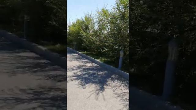 Алаколь резорт /пляж смотреть онлайн
