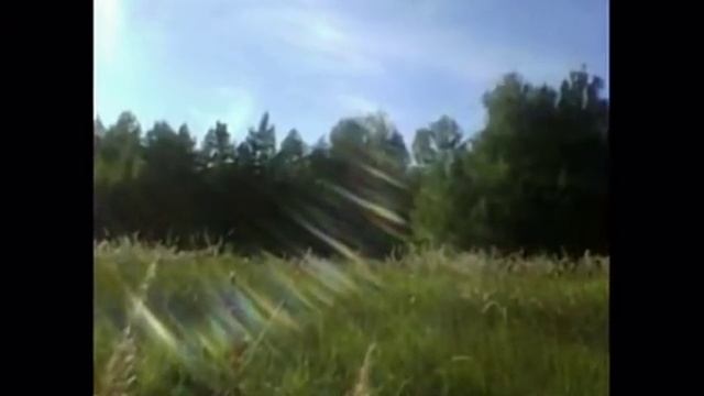 Родное село Арефино