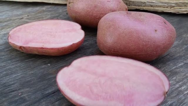 чудогрядка.рф: картофель Красная клюква смотреть онлайн