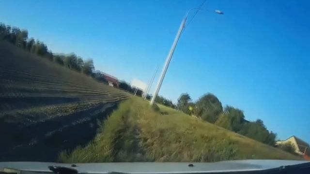Торопыги! Отсутствие мозгов и мышления смотреть онлайн