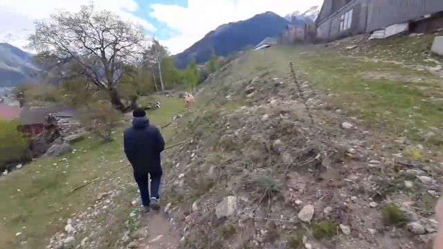 идём по берёзы, выкопали и будем сажать ! смотреть онлайн