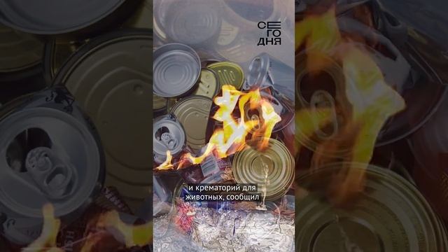 В Кыргызстане построили крематорий для животных! смотреть онлайн