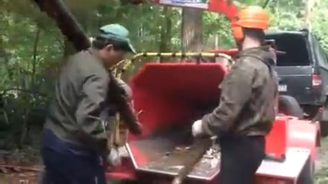 Дробление веток - LiWood.ru смотреть онлайн