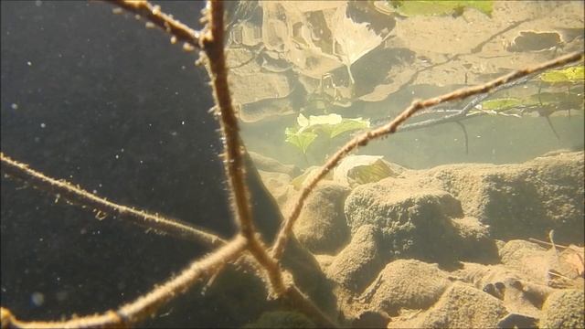 У подножия горы Бужа-Тау || at the foot of Buzha Tau смотреть онлайн