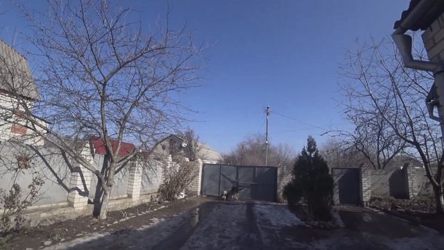 Старый Бизон на ветре более 8 метров смотреть онлайн