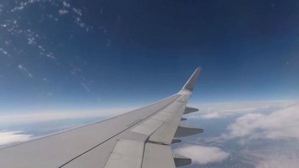 Full Flight | American Airlines A321 Los Angeles to Dallas