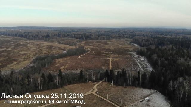 Посёлок Лесная опушка 25.11.2020 г. смотреть онлайн