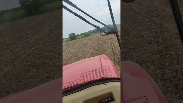 посев гречки в Августе 5 2022г смотреть онлайн