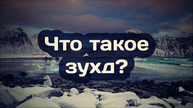 Ринат Абу Мухаммад Что такое зухд смотреть онлайн