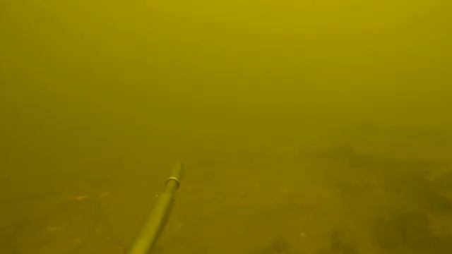 Подводная охота в Астрахани, октябрь 2022г смотреть онлайн