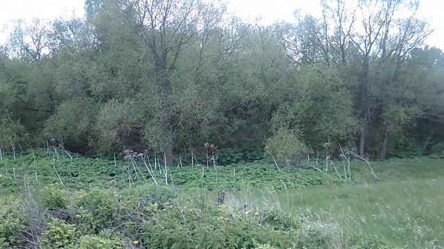 панорама участка смотреть онлайн