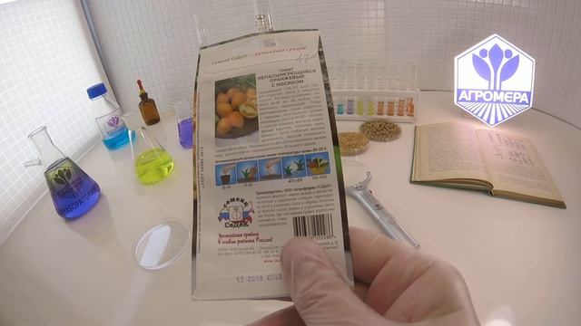 Томат Непасынкующийся оранжевый с носиком. СеДеК смотреть онлайн