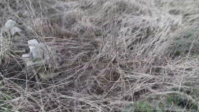 Копаю металл в прошлогоднем месте смотреть онлайн