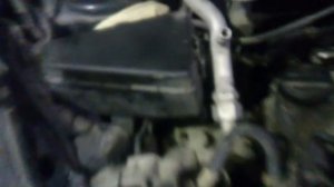 Гремит цепь грм Honda Fit