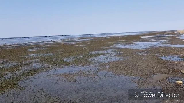 Передал меч эксперту. Экскурсия по объектам Карафуто в Невельском районе. Sakhalin смотреть онлайн