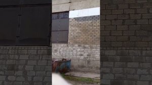 РУСД наши Бригада