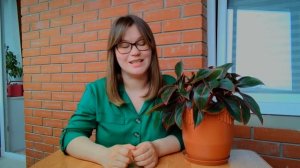 Аглаонема. Уход в домашних условиях
