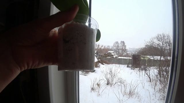 Комнатные растения ( ОРХИДЕИ). смотреть онлайн