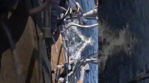 Китайский лодочный мотор Карвер мнт 3.8s 2 мотора на лодке