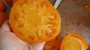 томат ОРАНЖЕВЫЙ ГИГАНТ ДМИТРИЕВА обзор плодов и дегустация