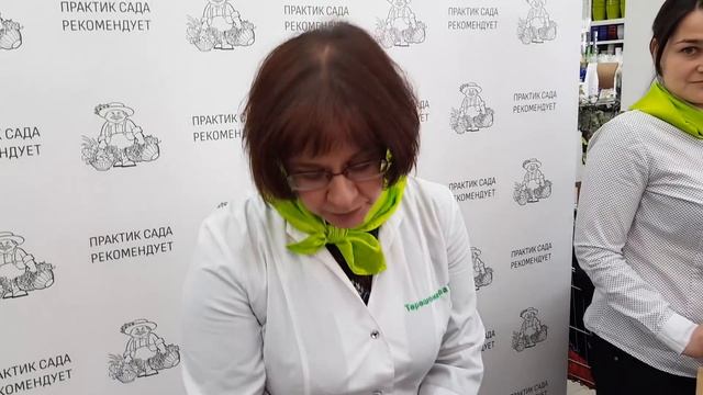 Особенности пикировки томата! смотреть онлайн