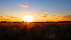 ФУТАЖ / НЕБО / ФУТАЖ НЕБО / ФУТАЖ РАССВЕТ / ФУТАЖ ПРИРОДА / ВДОХНОВЕНИЕ