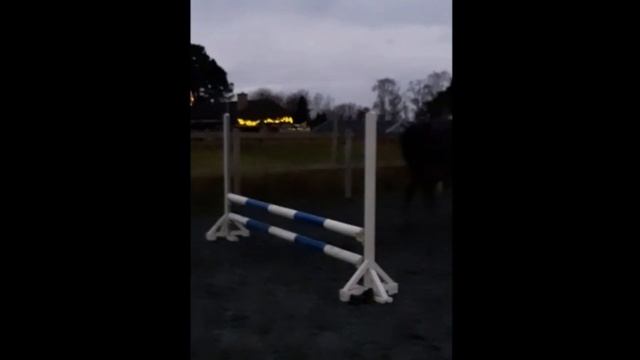 Jumping is fun (sometimes) смотреть онлайн