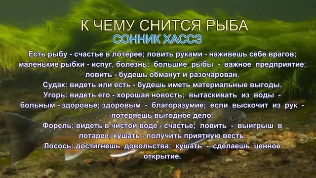 К чему снится рыба. Сонник Хассэ. Толкование снов. смотреть онлайн