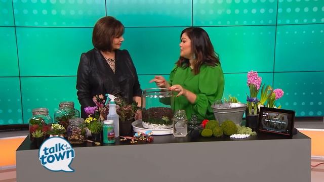 DIY Terrarium using Alexa смотреть онлайн