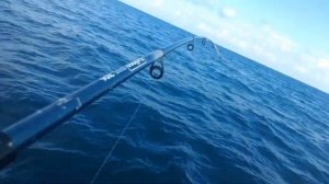 Морская рыбалка с катера в Крыму, Феодосия