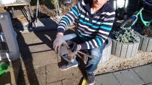 Дымогенератор не дымит