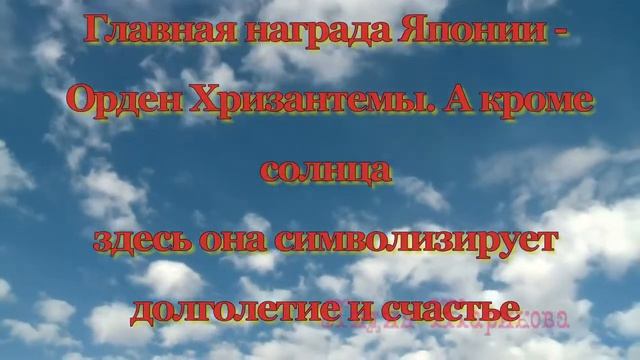 Хризантемы - загадочные цветы.Легенды о цветах смотреть онлайн