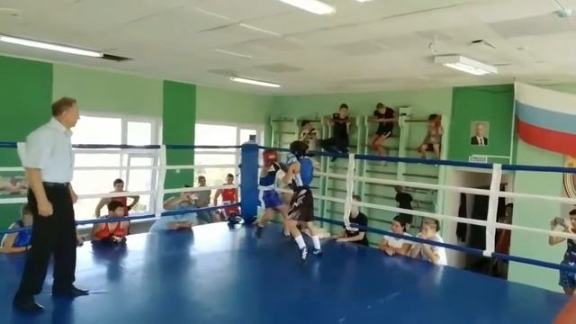 Воин Боспора смотреть онлайн