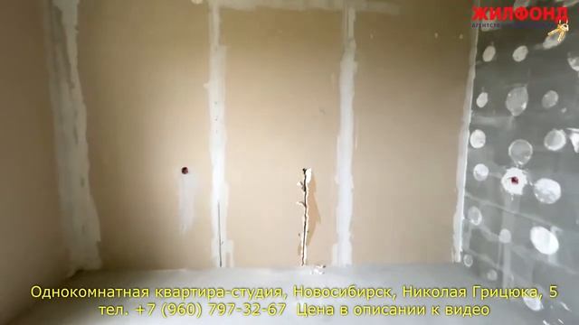 Однокомнатная квартира (студия), Новосибирск, Николая Грицюка, 5 Агентство недвижимости ЖИЛФОНД смотреть онлайн