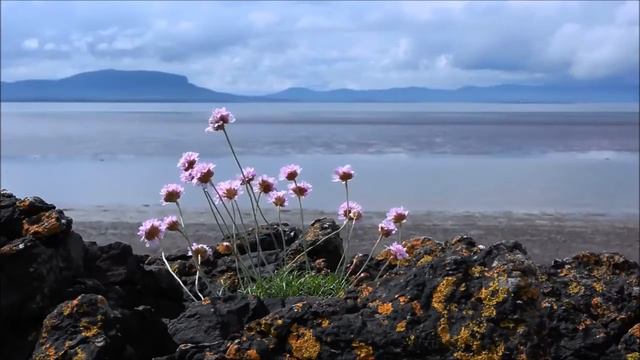 Евангелие от Матфея *Глава третья смотреть онлайн