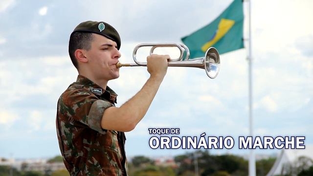 Toques Básicos de Corneta смотреть онлайн