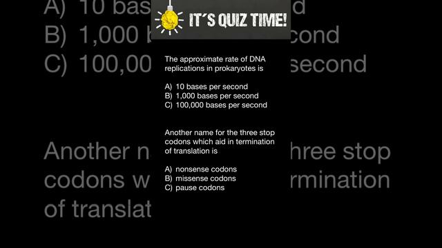 Prokaryote's Replication смотреть онлайн