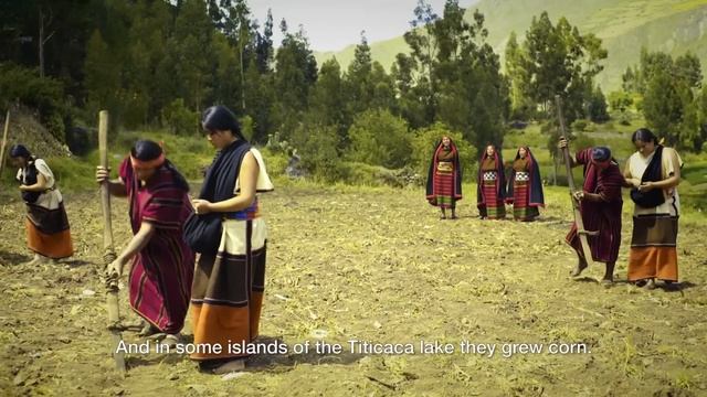 The Brilliantly Designed Cities Of Pre-Colonial America | 1491 | Chronicle смотреть онлайн
