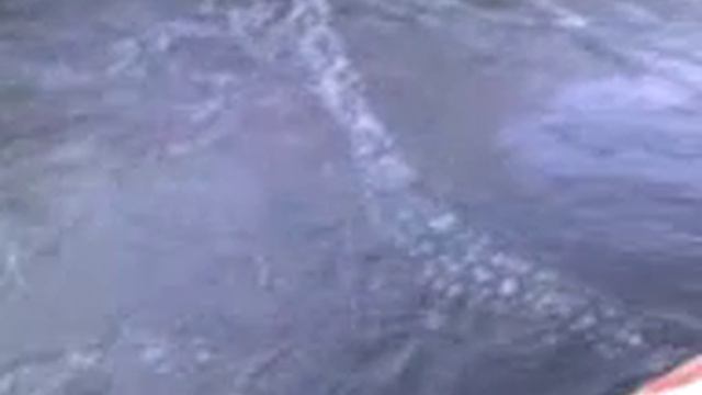 Водоканал.Аэротенки (Старый Оскол) смотреть онлайн