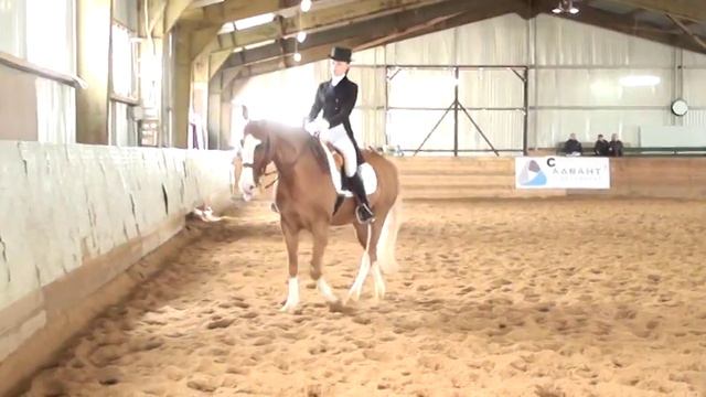 Михеева Татьяна и Золотой Чабрец смотреть онлайн