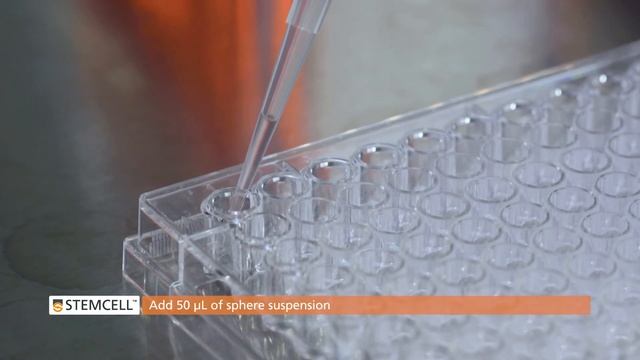 How to Count 3D Sphere Cultures (Mammospheres, Neurospheres, Cancer Spheroids, and PSC Aggregates) смотреть онлайн