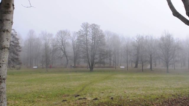 Таллинн, парк Кадриорг смотреть онлайн