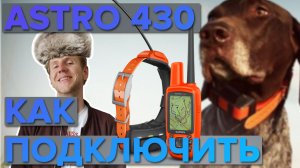 Garmin Astro 430 как подключить к ошейнику и сопряжение с другими навигаторами Garmin