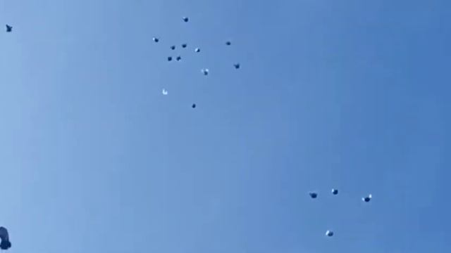 НИКОЛАЕВСКИЕ ГОЛУБИ АЛЕКСЕЙ ШАФОРОСТОВ 20.03.2022.г. смотреть онлайн