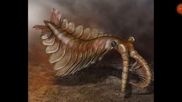 Аномалокарис самый древний хищник. смотреть онлайн